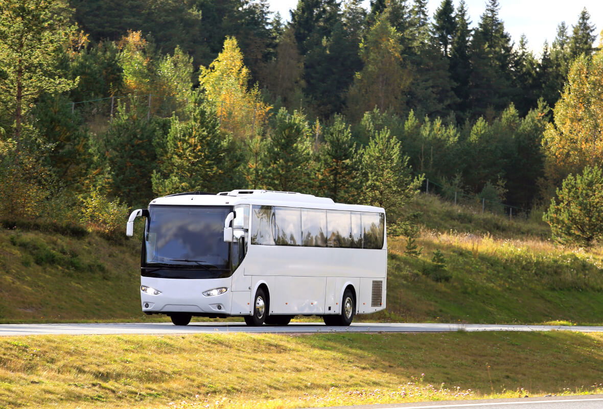 Private Bus Hire & Coach Charter - Transportation and Tourism Services